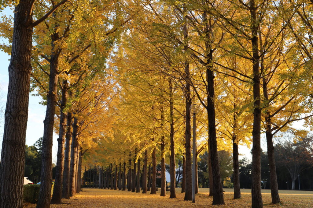 あわせて行きたい！おすすめ観光スポット
