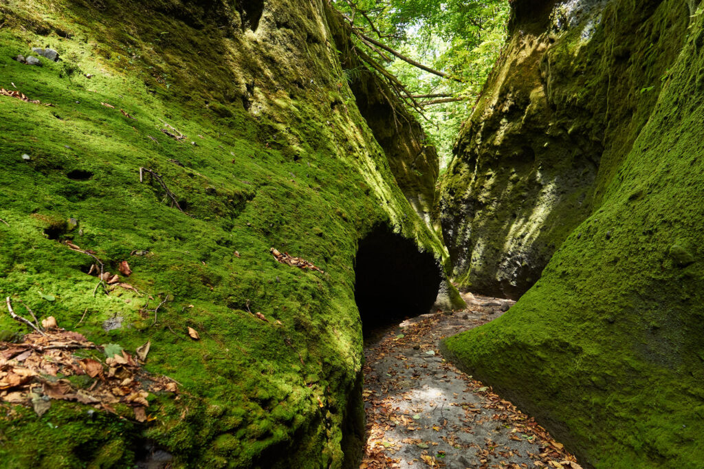 夜:支笏湖畔の丸駒温泉旅館