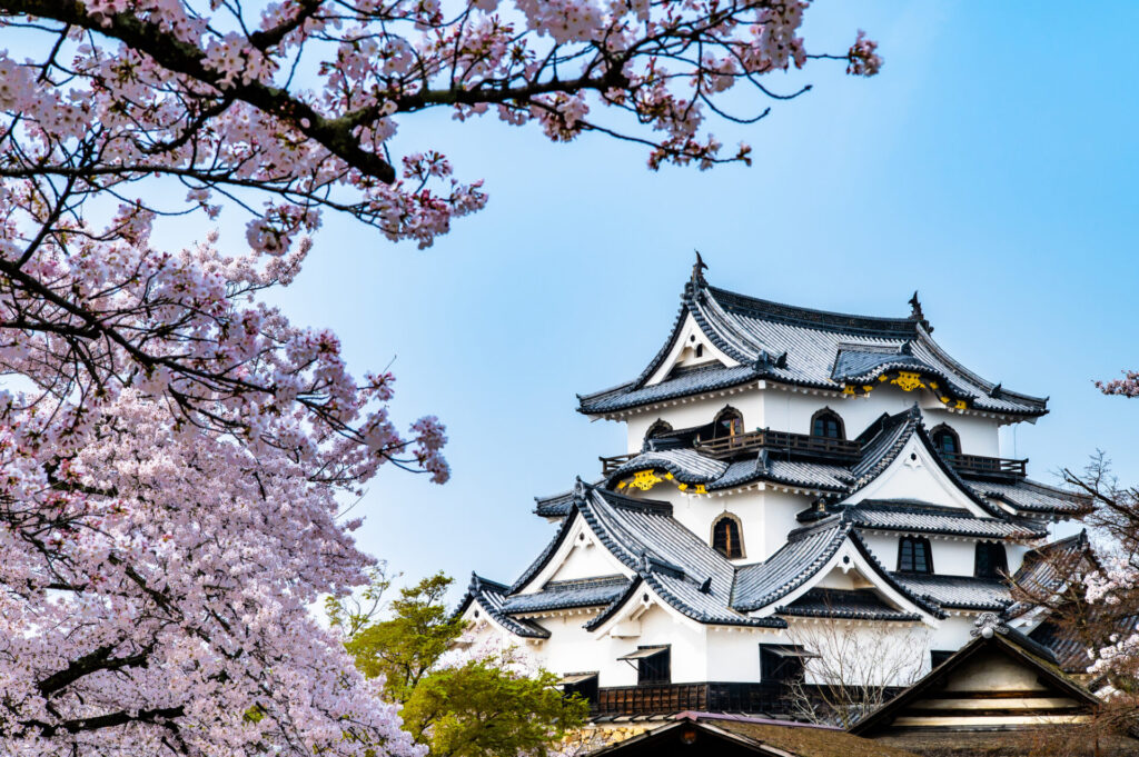 彦根 観光 モデル コース_まとめ