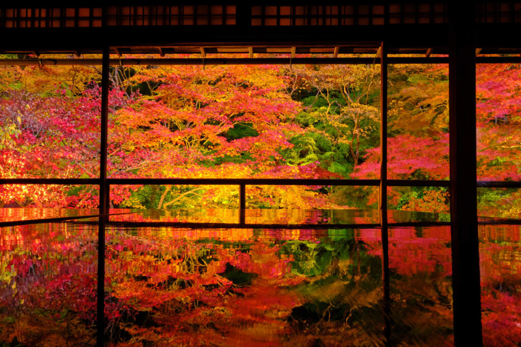 京都　紅葉