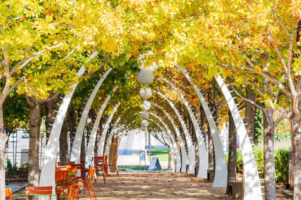 クライド・ワーレン公園