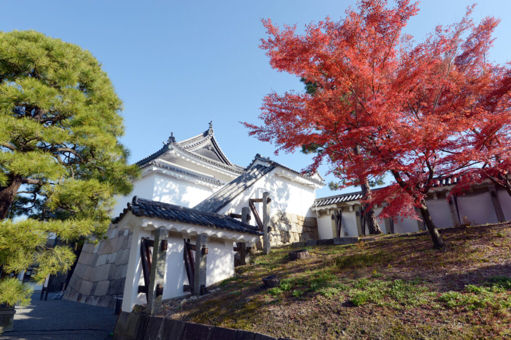 京都　モデルコース