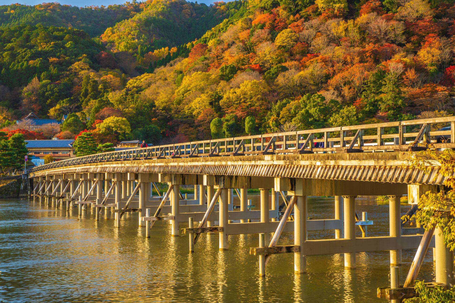 紅葉の渡月橋