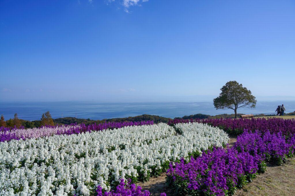 淡路島 家族 旅行 モデル コース_アイキャッチ