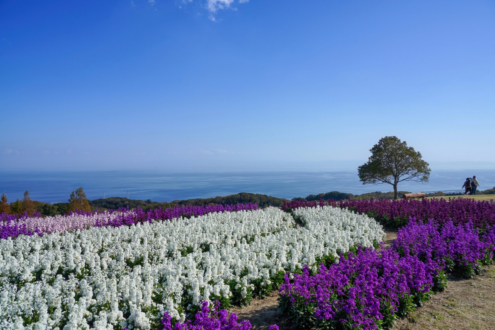 淡路島 家族 旅行 モデル コース_アイキャッチ