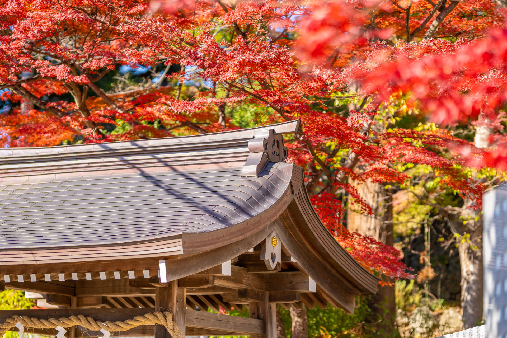 つくば 観光 モデル コース_アイキャッチ