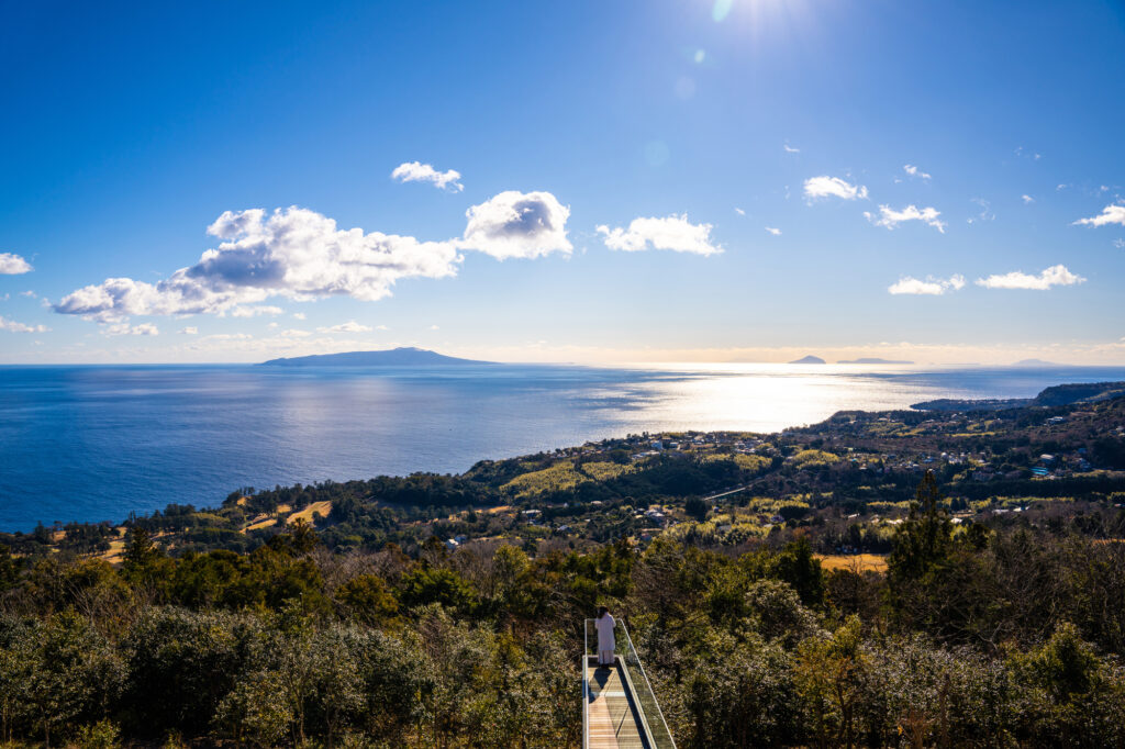 伊東 観光 モデル コース_2日目