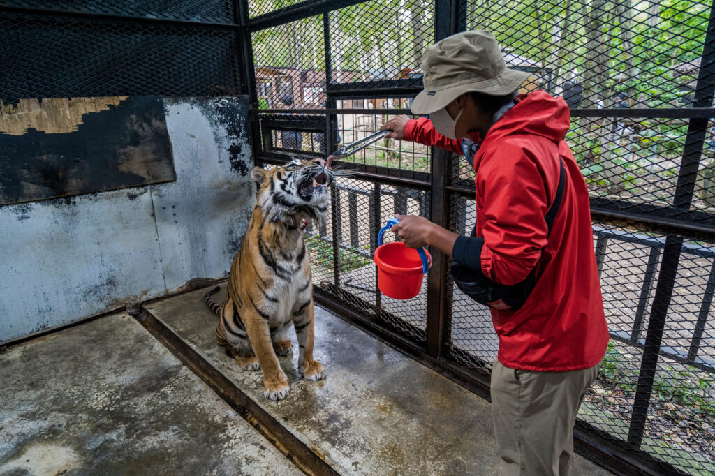 札幌の体験スポット