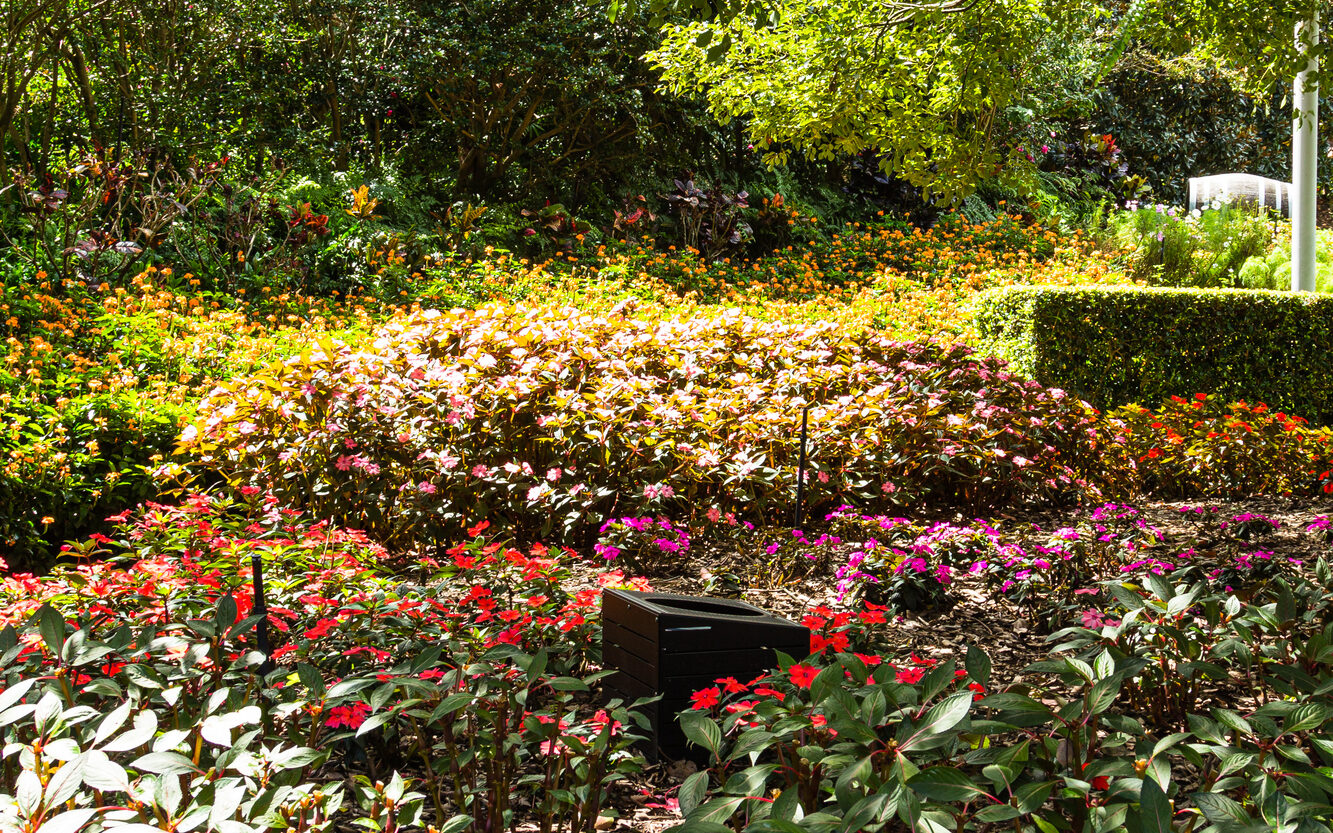 ローマ・ストリート・パークランド