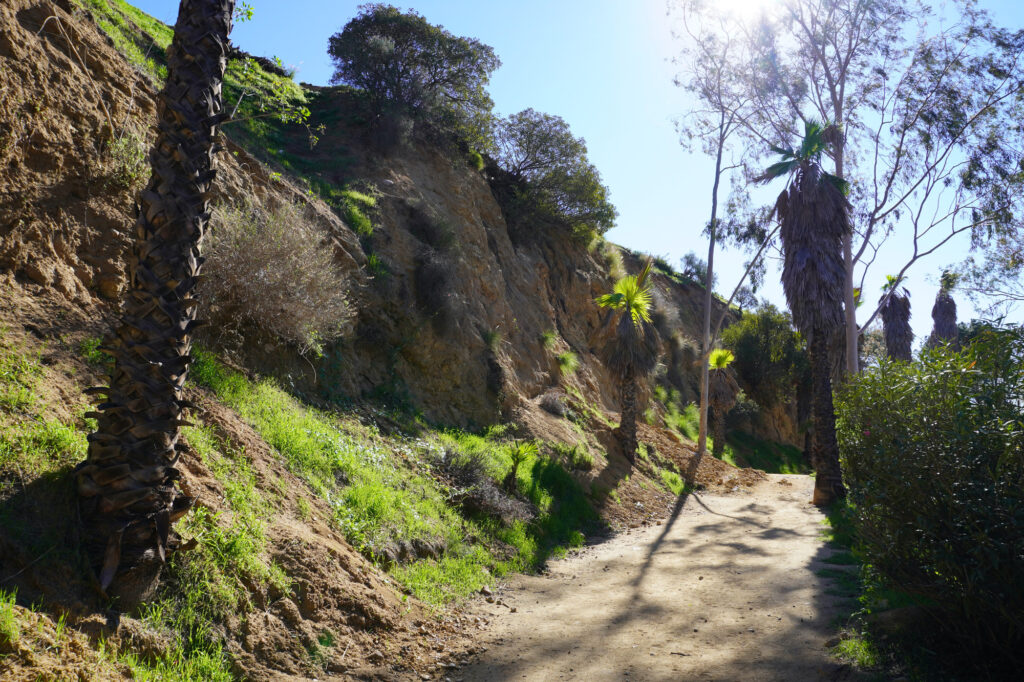 ラニヨン・キャニオン・パーク