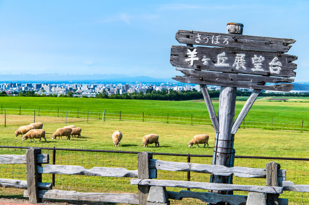 札幌市羊ヶ丘展望台の様子