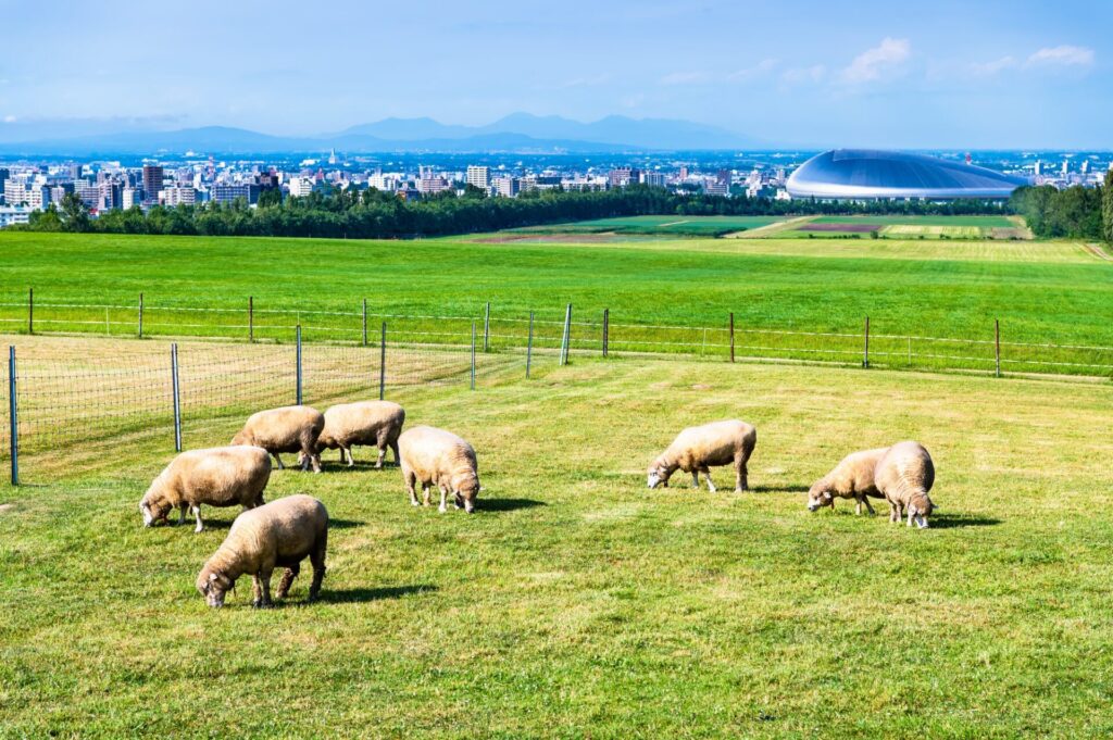 北海道札幌市　さっぽろ羊ヶ丘展望台