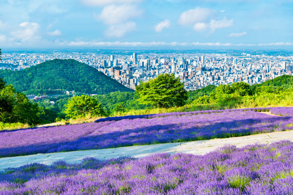 札幌の観光名所