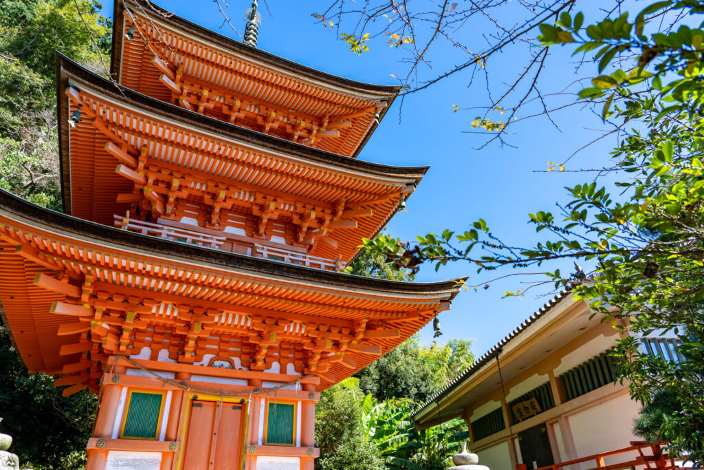 あわせて行きたい！おすすめ観光スポット