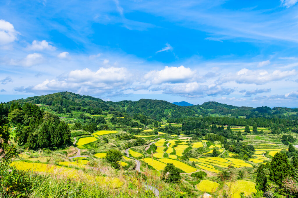 新潟 観光 おすすめ_アイキャッチ