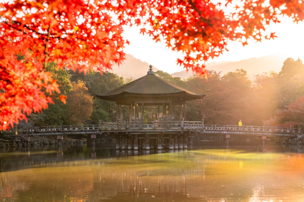 奈良紅葉日帰り_浮見堂
