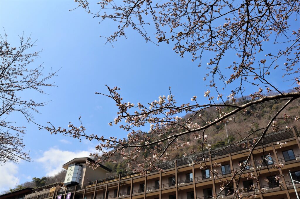 箱根湯本温泉 天成園