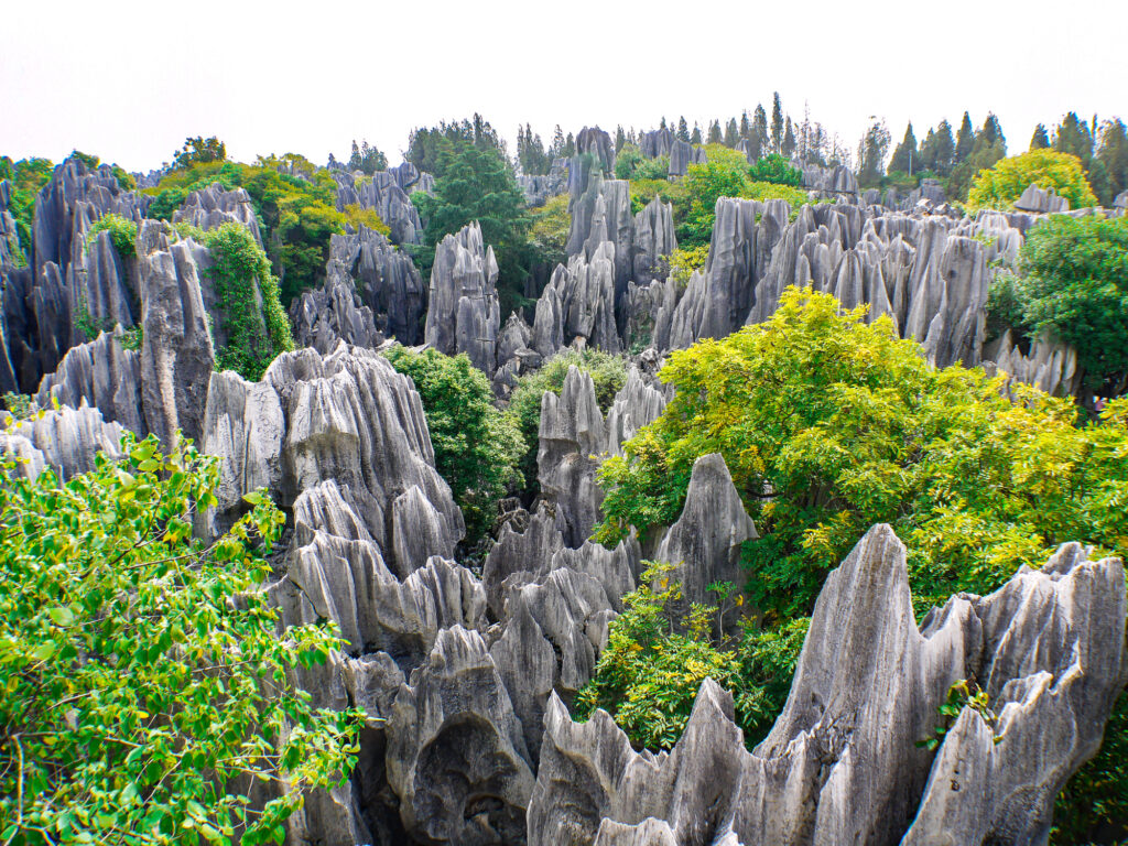 まとめ｜中国の絶景観光地を訪れてみませんか