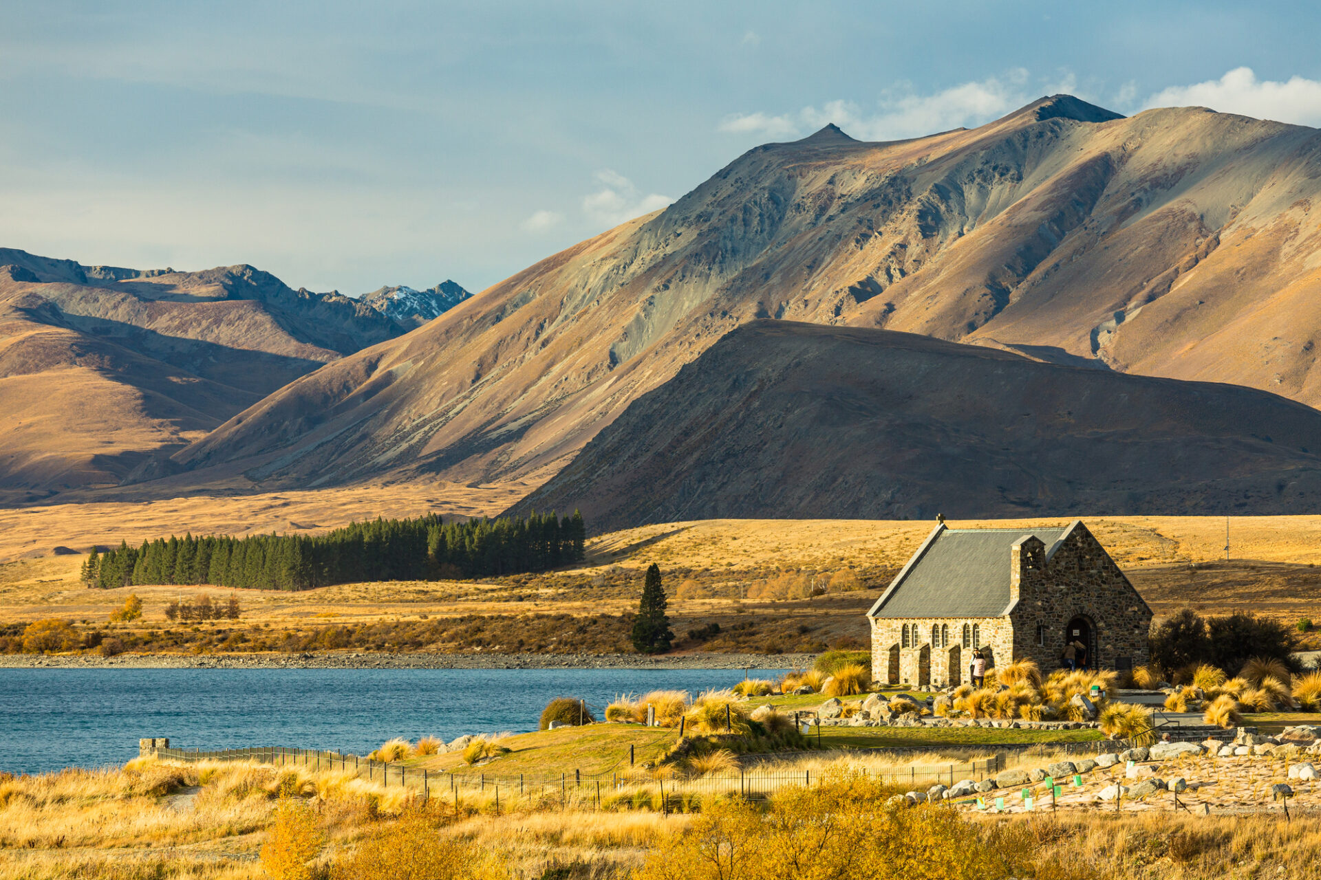 ニュージーランド　カンタベリー地方のテカポ