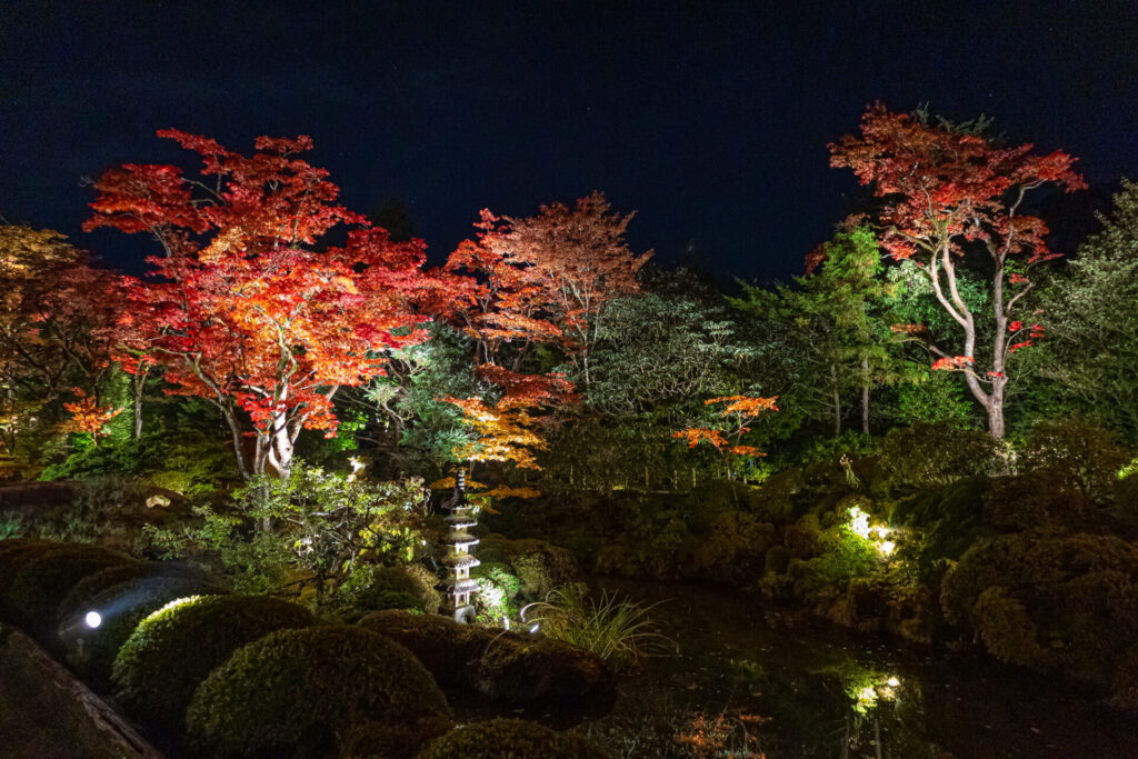 逍遥園のライトアップ