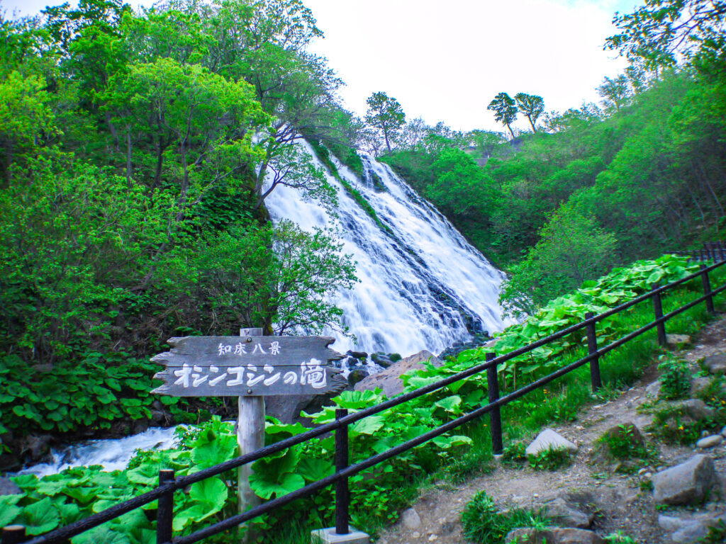 オシンコシンの滝