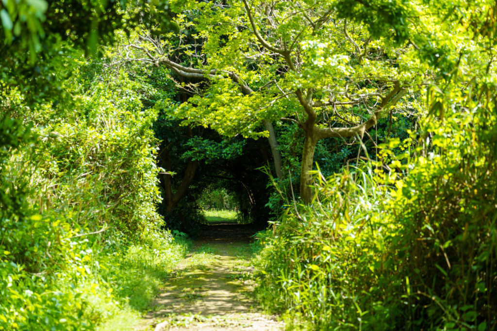 あわせて行きたい！おすすめ観光スポット