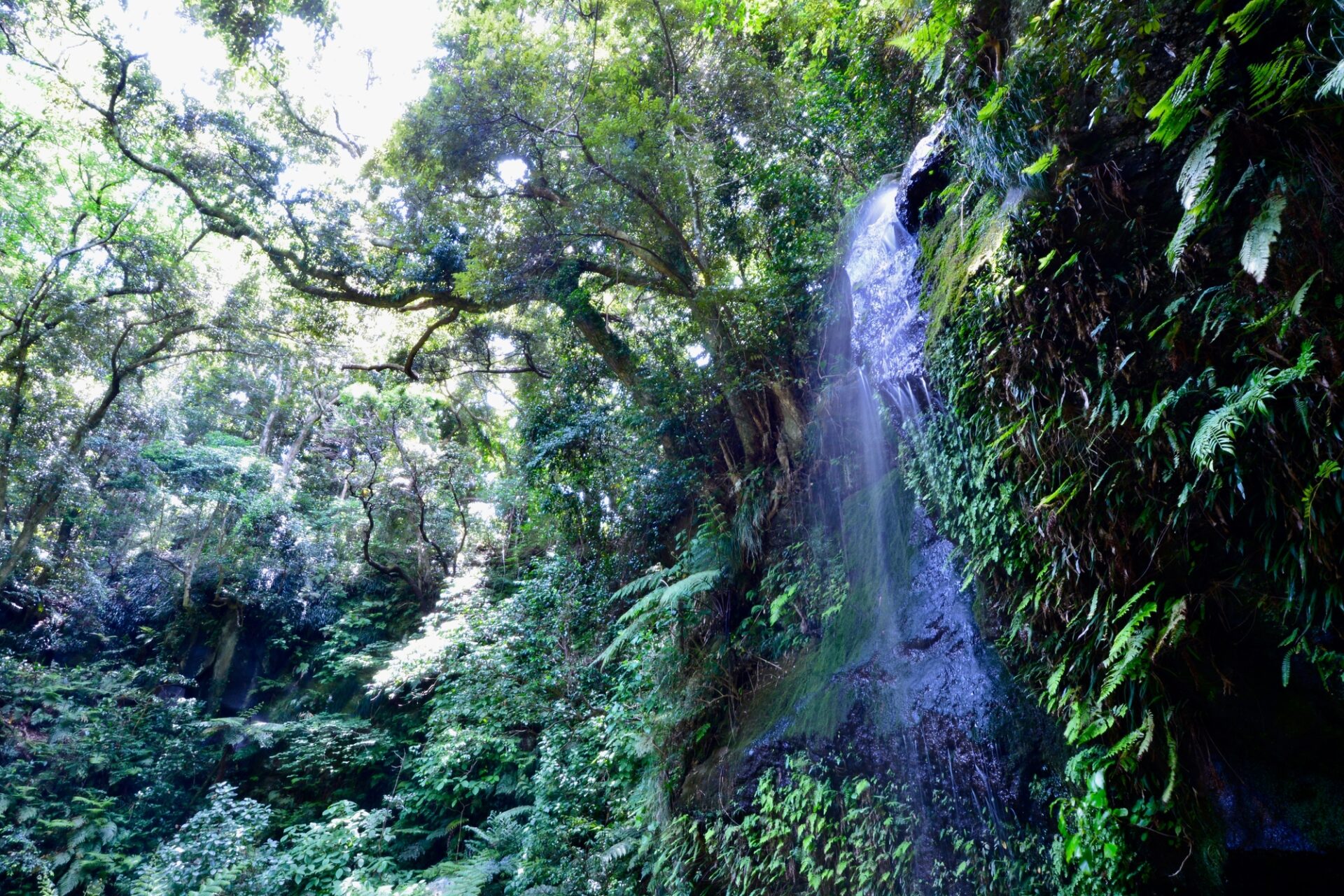 八丈島の絶景スポット