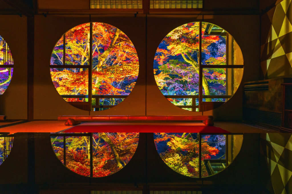 京都の例年の見頃時期はいつ?