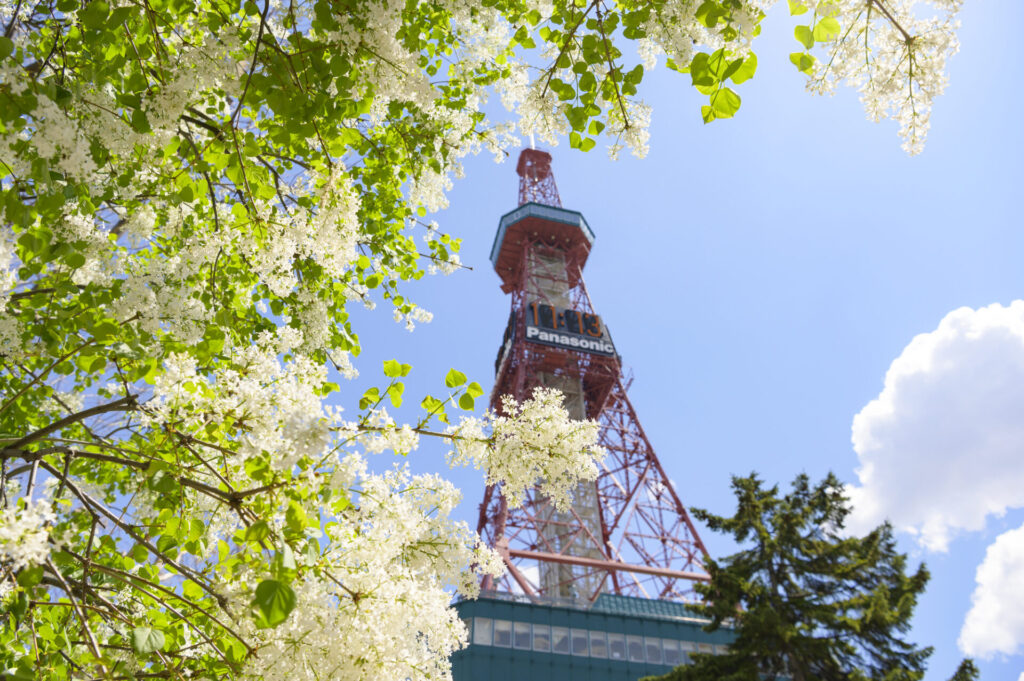 まとめ|美味しくて楽しい、北海道旅行を満喫しましょう