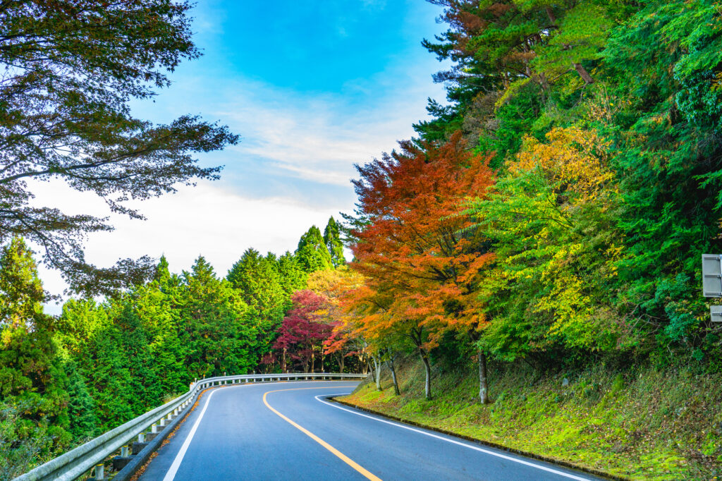 午前: 比叡山・奥比叡ドライブウェイ