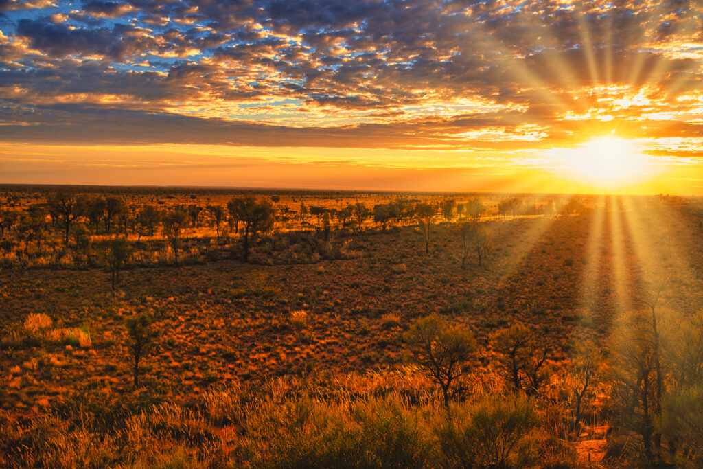まとめ｜オーストラリアの魅力を堪能しませんか？