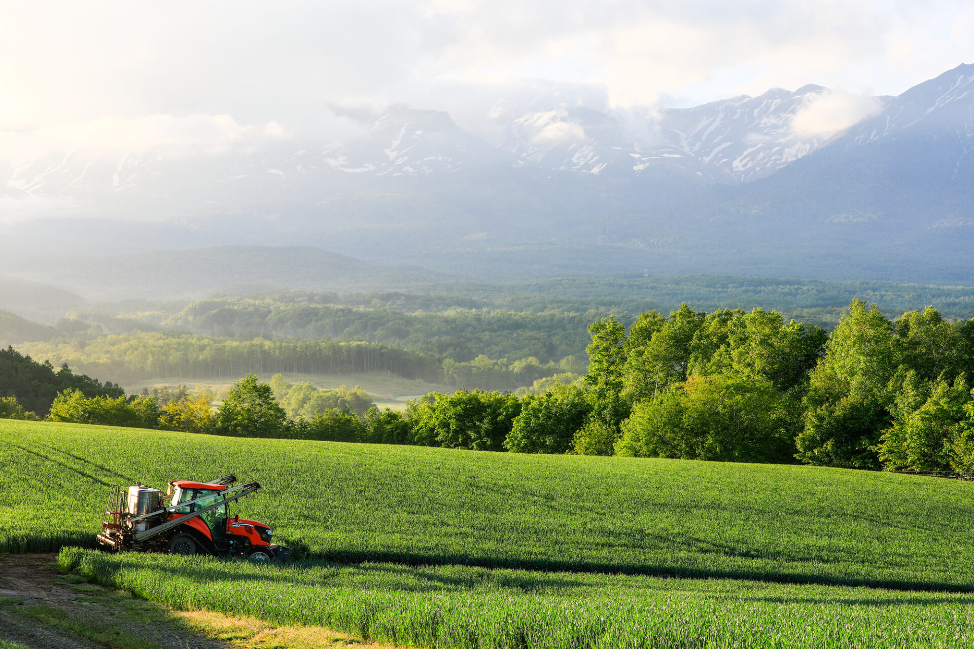 北海道 紅葉 時期