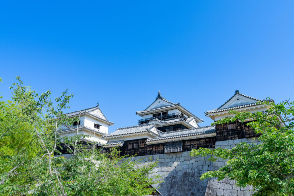 《愛媛県》松山城・松山城から見た風景
