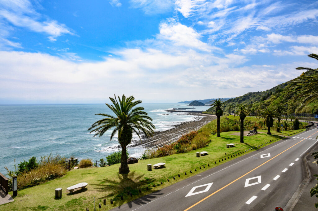 午前: 宮崎市内満喫!人気の王道・定番コース