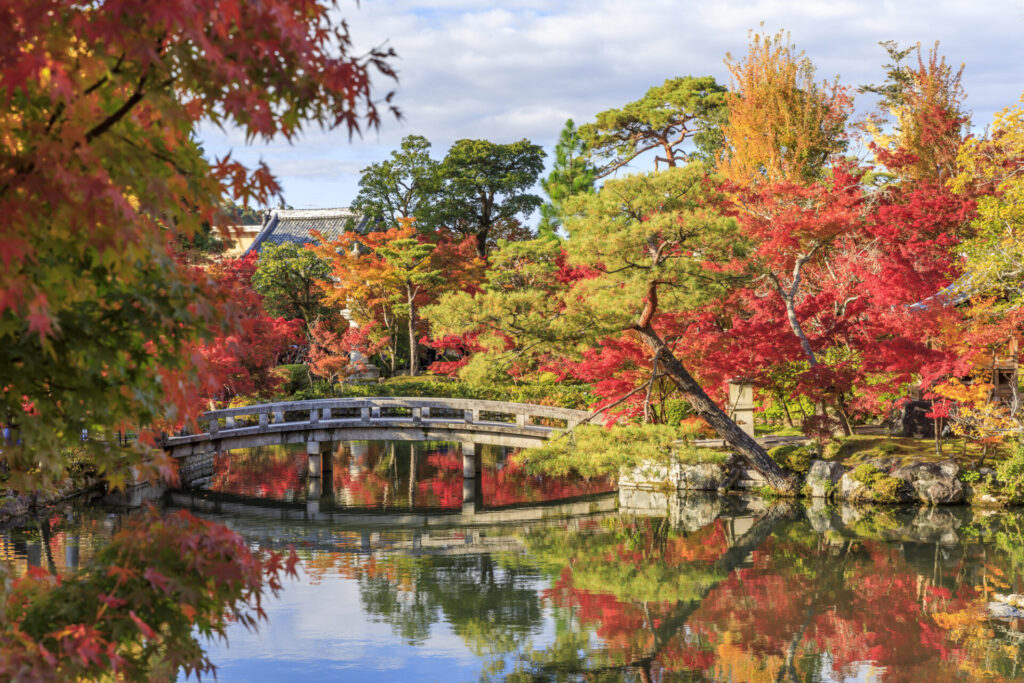 永観堂　紅葉