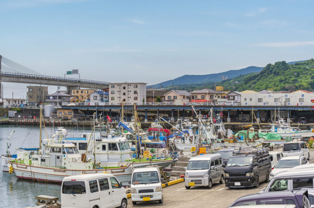 小田原さかなセンターで海鮮グルメ