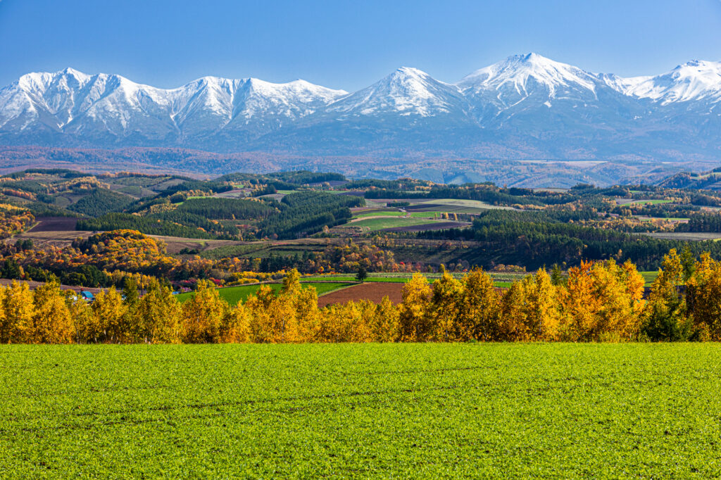 あわせて行きたい!おすすめ観光スポット