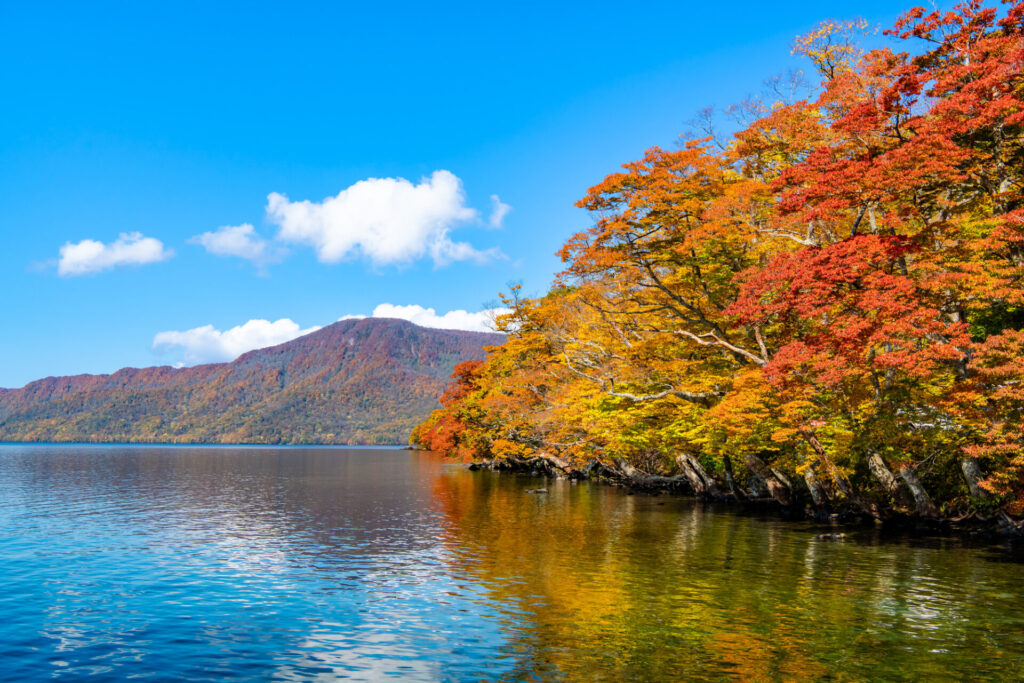 紅葉に染まる十和田湖