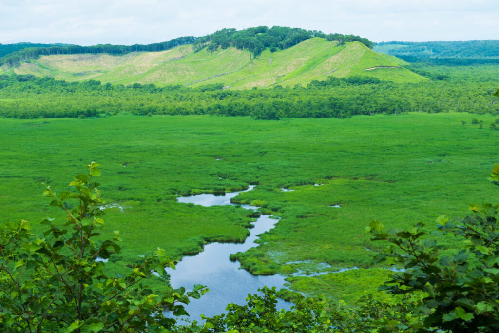 あわせて行きたい!おすすめ観光スポット