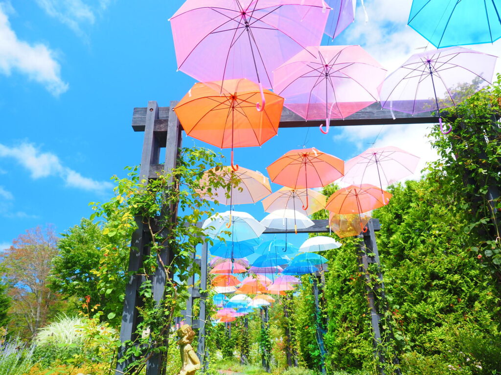 あわせて行きたい!おすすめ観光スポット