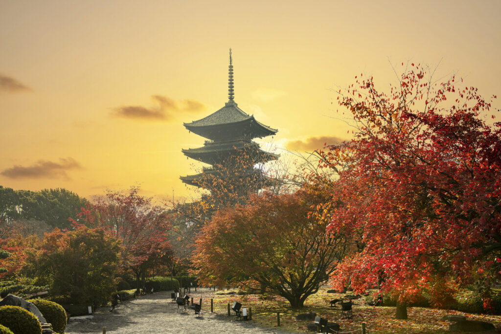 東寺(教王護国寺): 深紅の紅葉と五重塔はため息が出るほど美しい