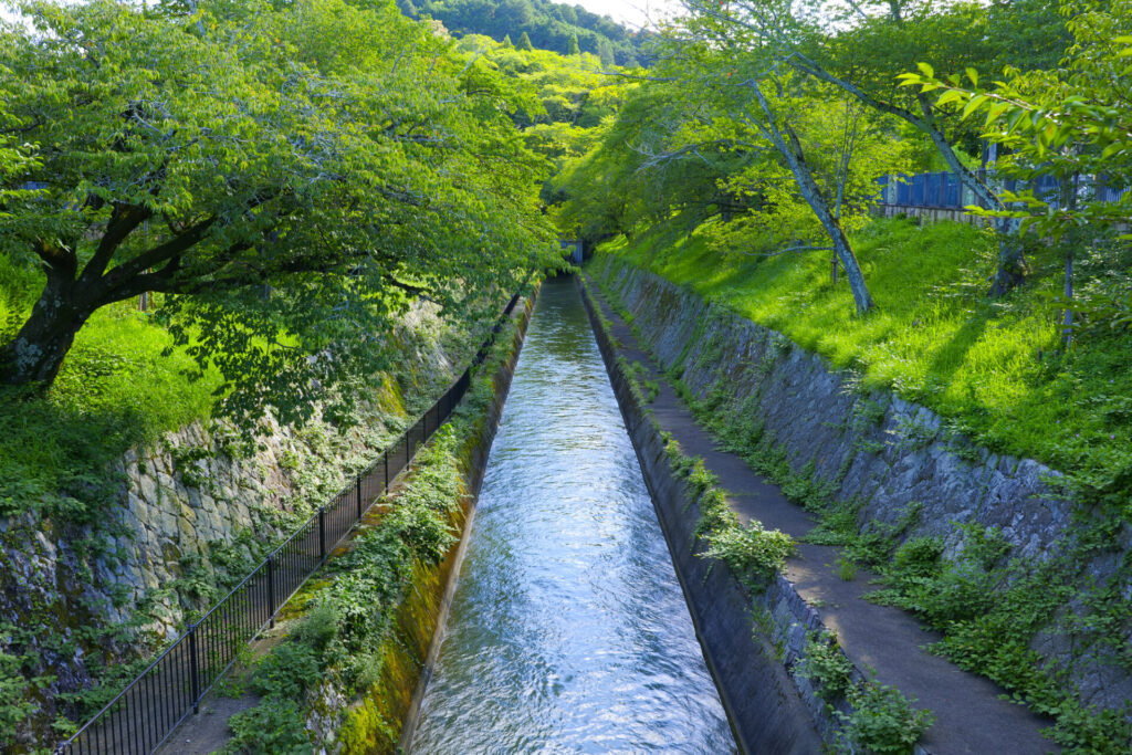 夕方: カメラ女子 おすすめコース