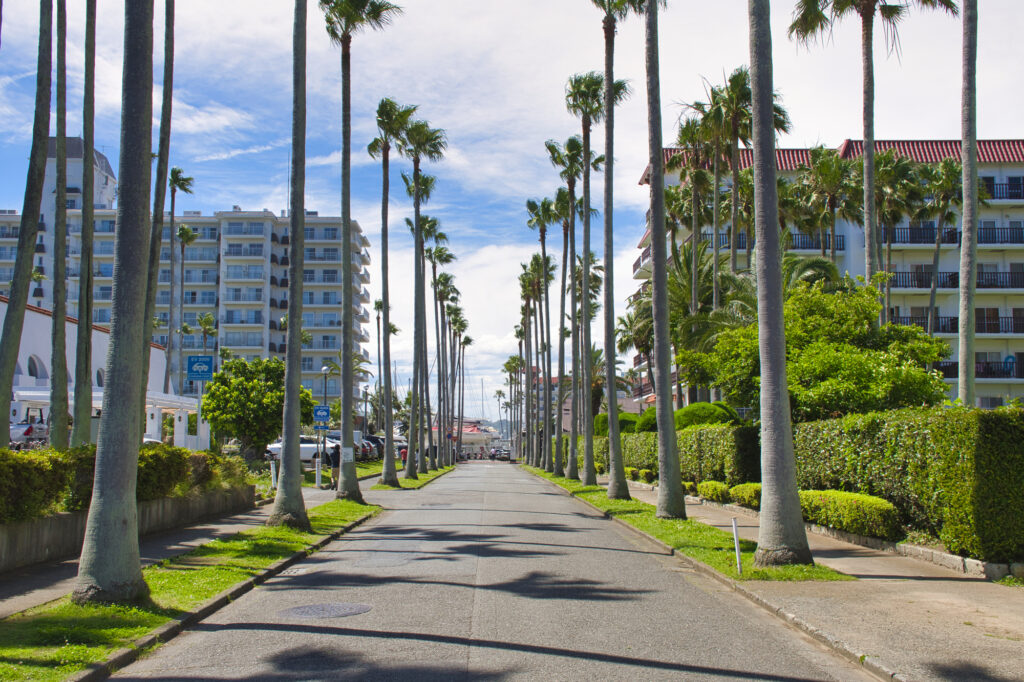 逗子 観光 モデル コース_1日目