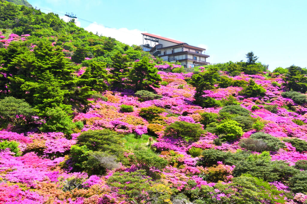 まとめ|長崎で豊かな旅行体験を