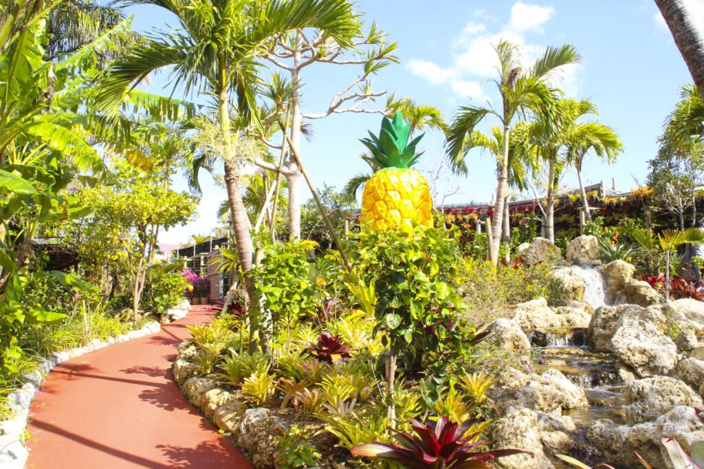 ナゴパイナップルパーク園内