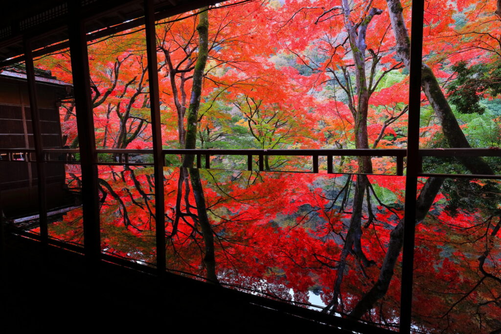 川端康成の部屋から見た紅葉