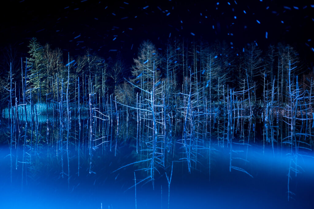 北海道 3 泊 4 日 モデル コース 車 あり_1日目