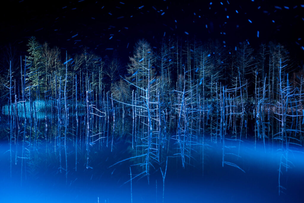 札幌 富良野 モデル コース3日目