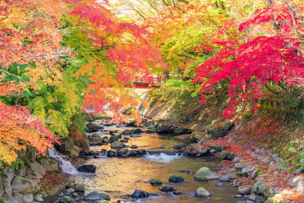 修善寺 一泊 二 日 モデル コース_アイキャッチ