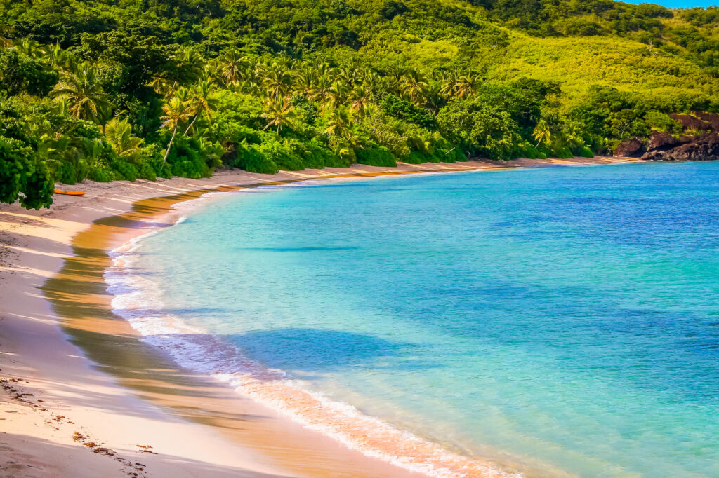 フィジー 1日目